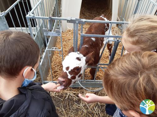 Sortie à la ferme pour les CP